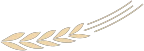 篮球训练心得体会200字左右作文_2